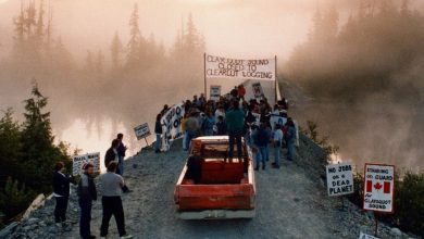 Conservationists invoke Clayoquot anniversary to press old-growth