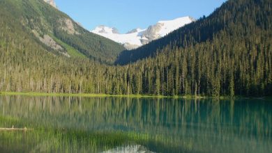 Better dialogue with First Nations could have avoided Joffre Lakes closure: critics