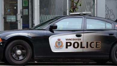 Man arrested in Stanley Park after trying to get into occupied cars