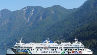 Palmer: B.C. Ferries makes excuses, but this weekend the litmus test