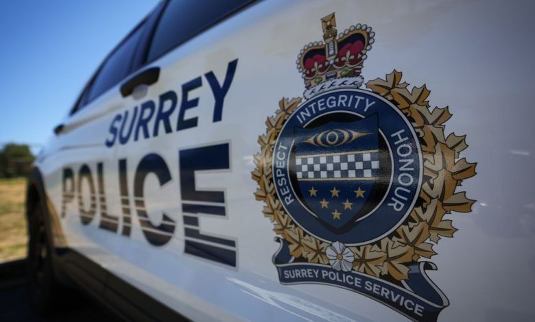 Complaint commissioner orders review by retired Supreme Court judge into Surrey police officer’s conduct