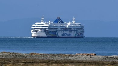 B.C. Ferries seeks to buy four new electric vessels