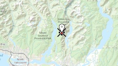 Tactical bucketing and ground crew suppress small wildfire north of Coquitlam