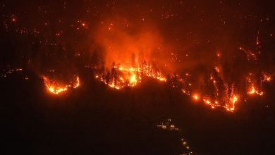 The Summer Canada Burned: Postmedia to publish book on 2023 wildfires